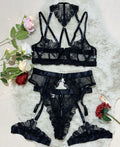Embroidered Mesh Lingerie Set