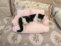 Pet bed - Small-sized dog bed