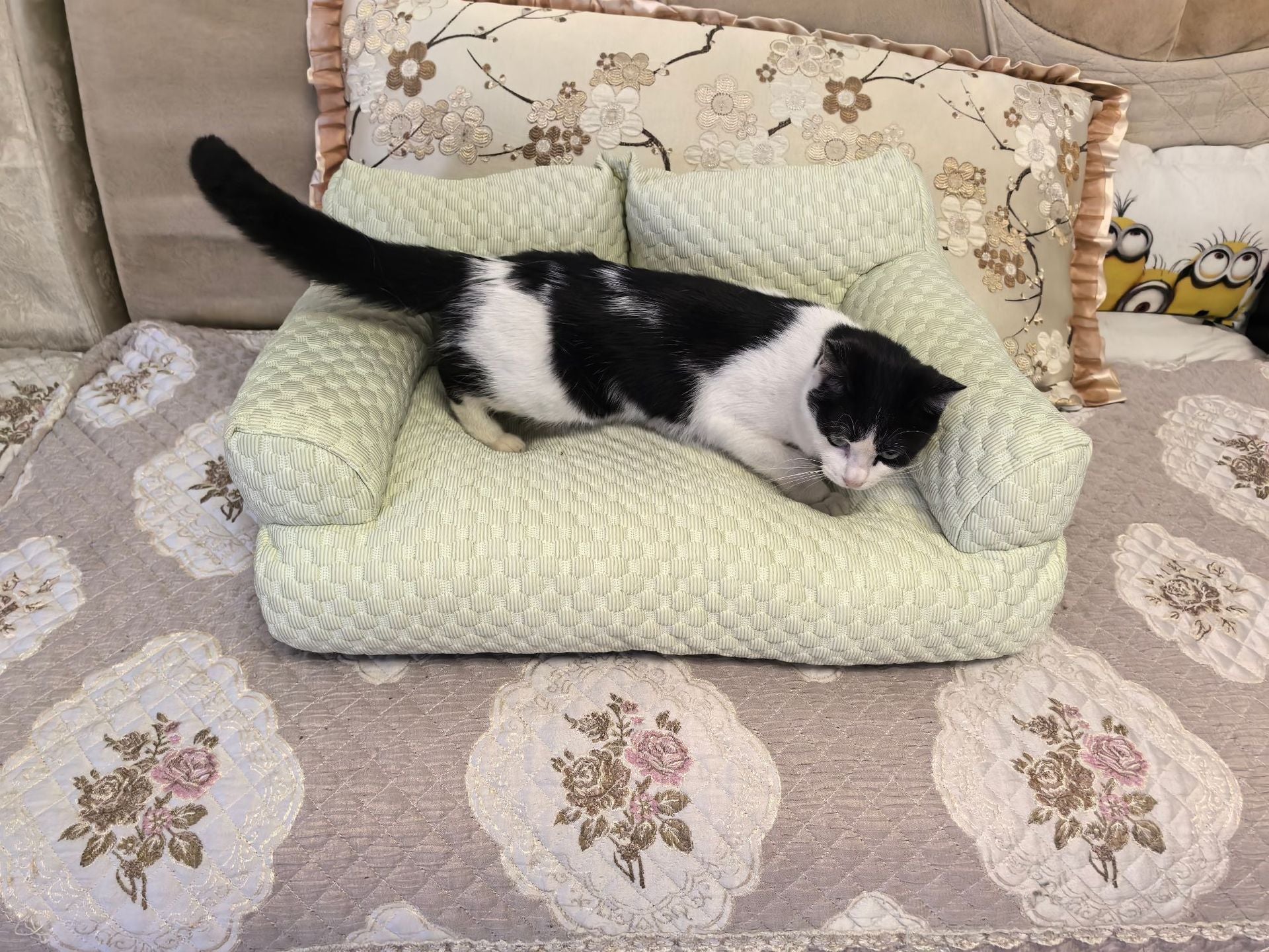 Pet bed - Small-sized dog bed