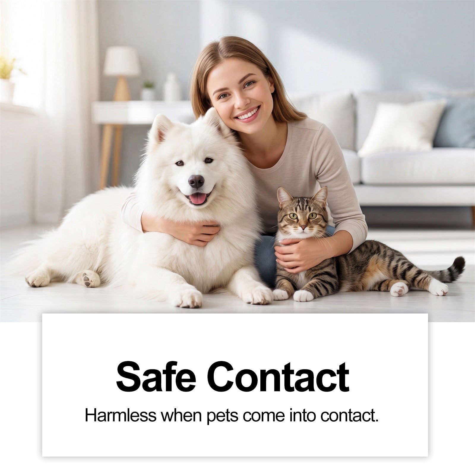 Pet Stain and Odor Remover